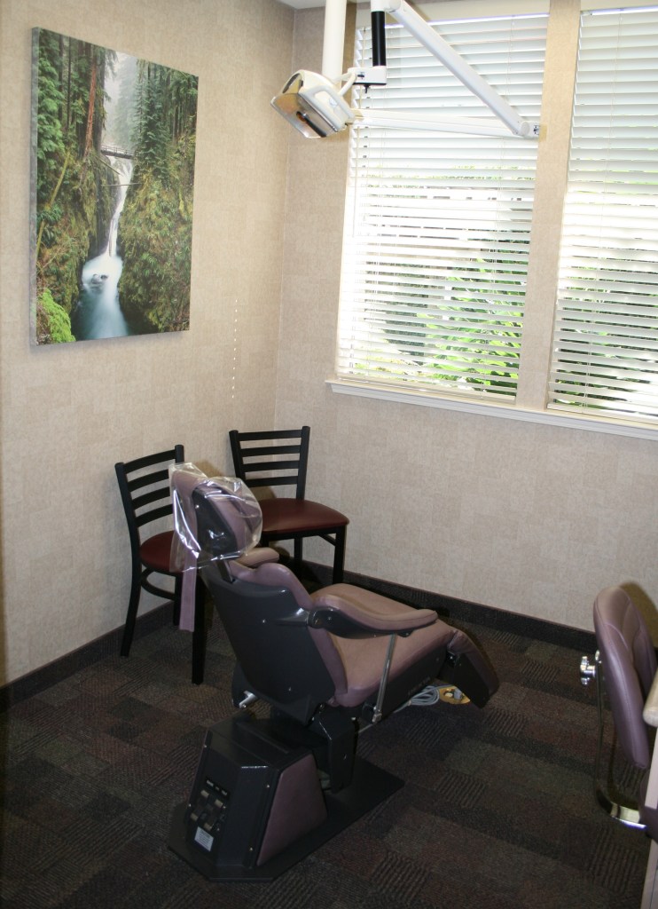 An image of the dental chair